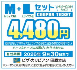 M+Lセット