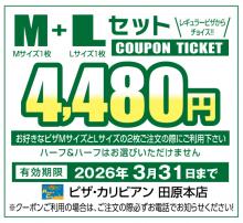M+Lセット