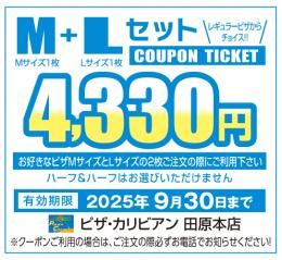 M+Lセット